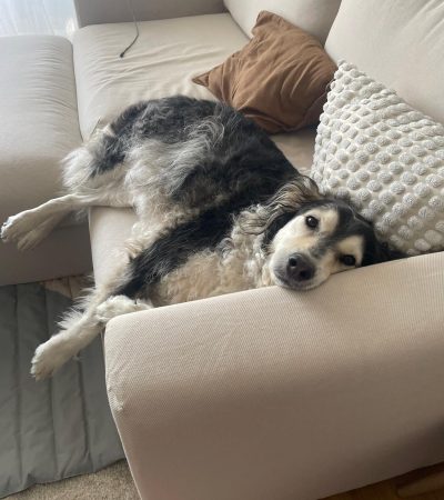 bella