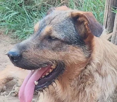 cuky-2-450x-crop-34-3-22-3-q80