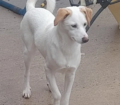 img-20260121-wa0074-720x-q80