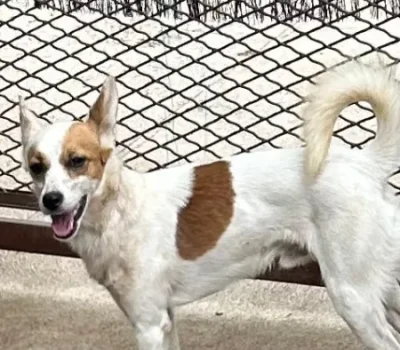 img-20260726-wa0007-450x-crop-25-2-34-3-q80