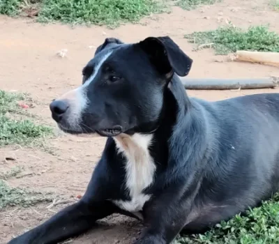 max-1-450x-crop-32-2-28-4-q80